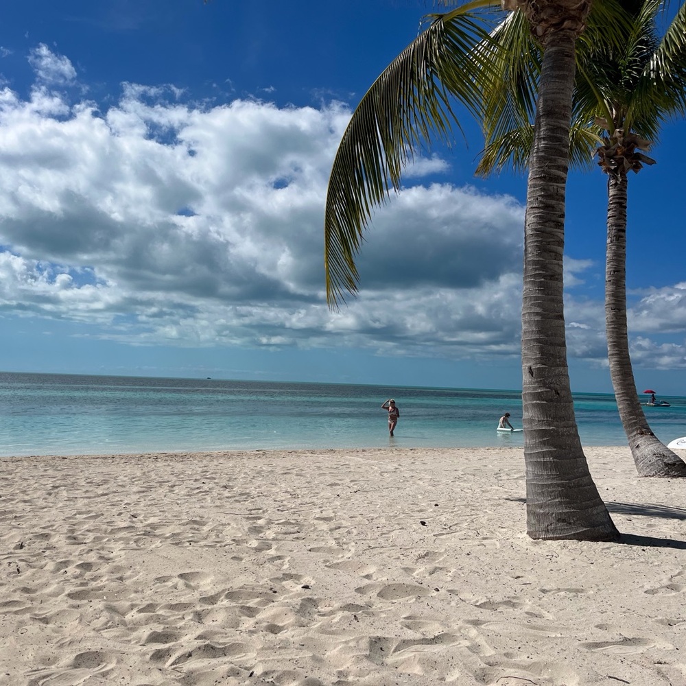 Meet your Posher, Melody